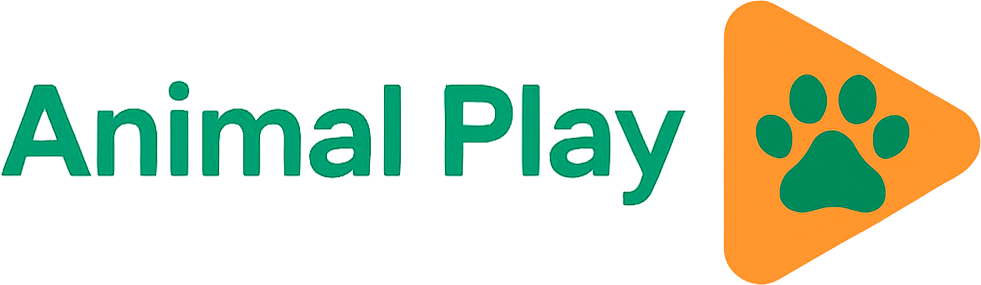 Animal Play